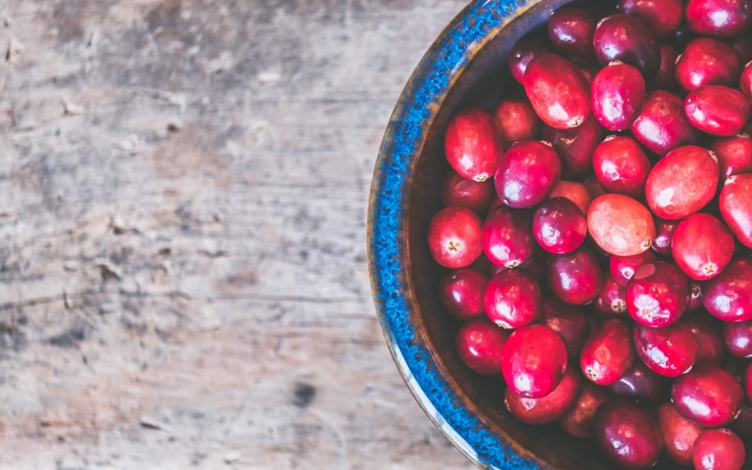 healthy holiday food cranberries