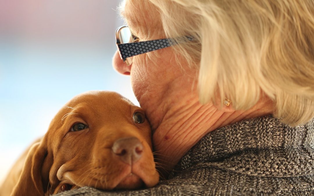 Dogs for Depression: How Pets Benefit Older Adults