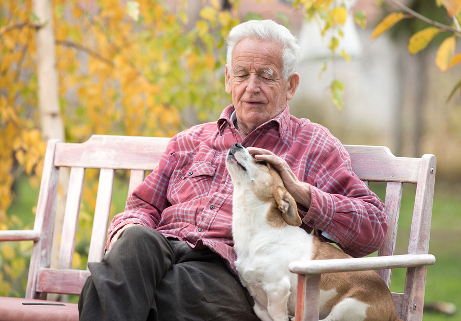 How to Respond When a Senior with Alzheimer’s Is Agitated