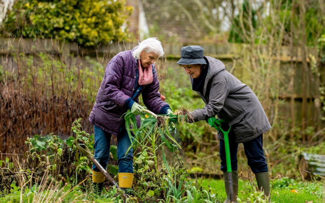 Tips for Gardening with a Senior Who Has Dementia