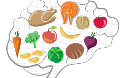 Nutrition and Memory: Foods That May Support Brain Health